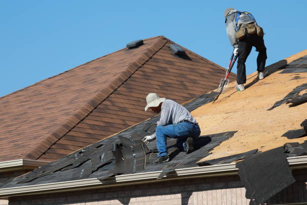 Best Roof Coating Services  in Holtville, CA