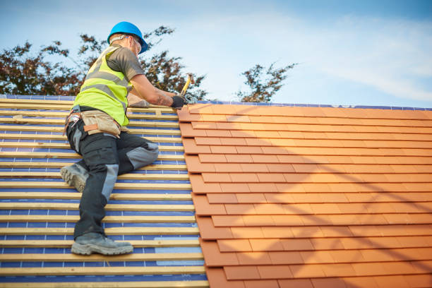 Professional  Roofing repair and installation in Holtville, CA